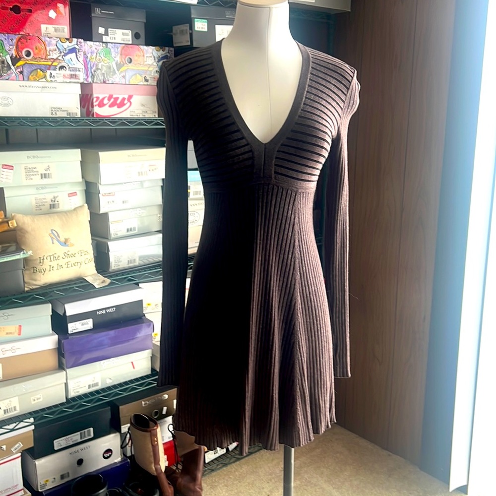 Express sweater dress